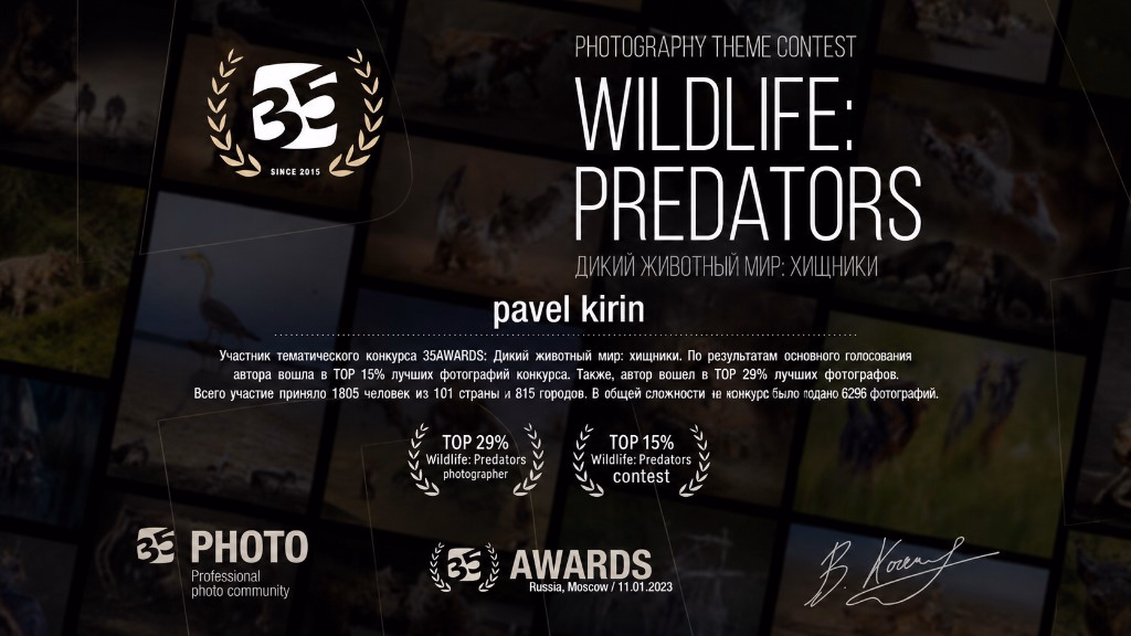 35AWARDS — Top 15% Wildlife Predators photography contest